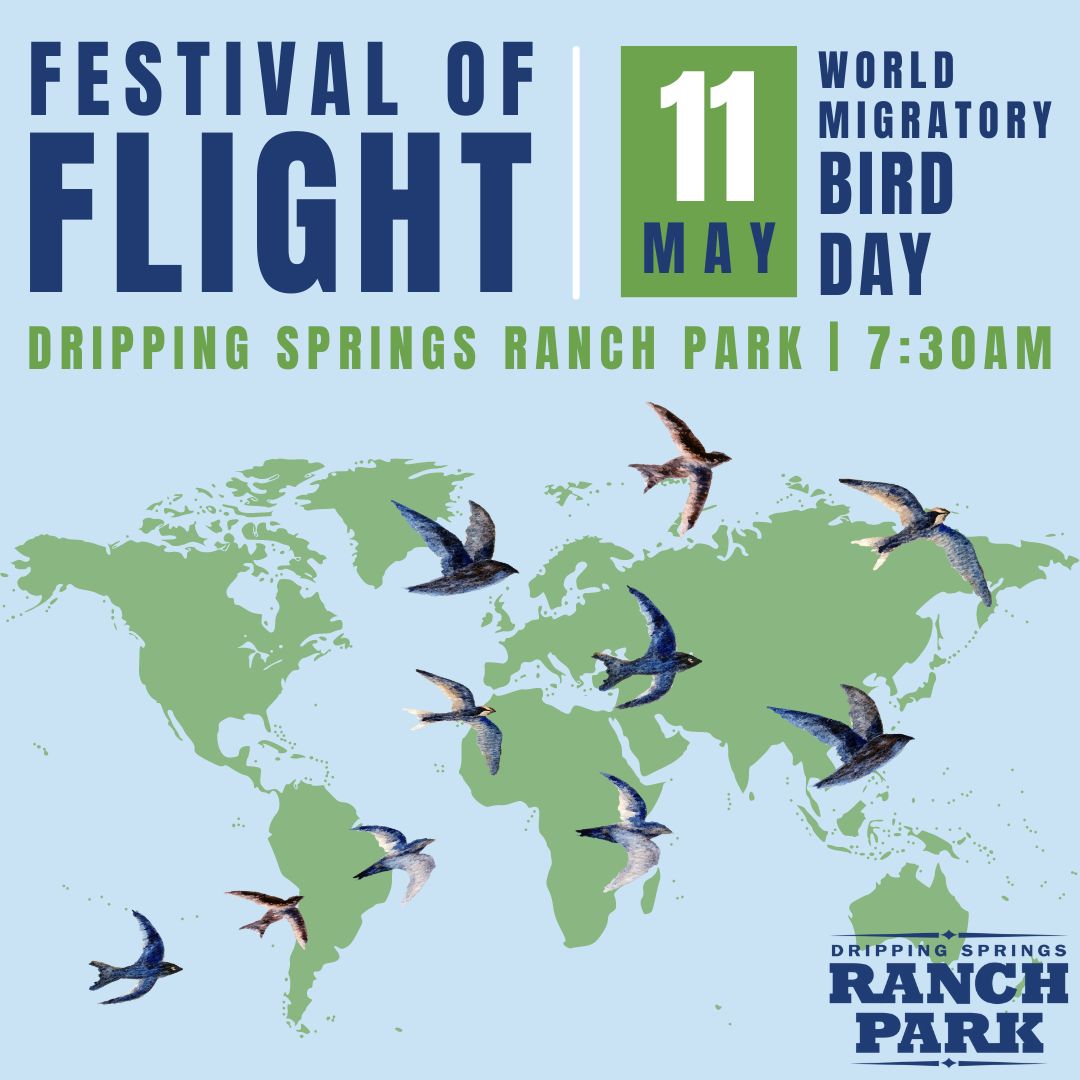 Festival of Flight Flyer