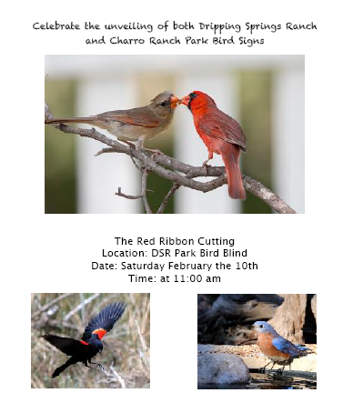 Bird Blind Red Ribbon Cutting