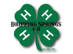 DS 4H Logo