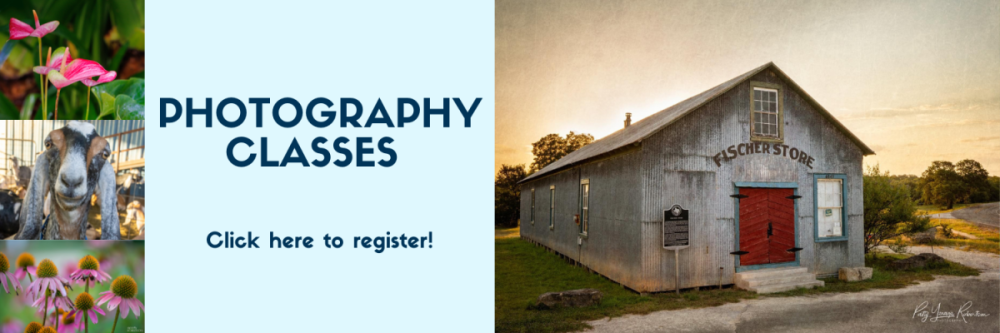 Click here to enroll in photography classes! 