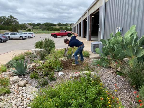 DSRP Flower Beds