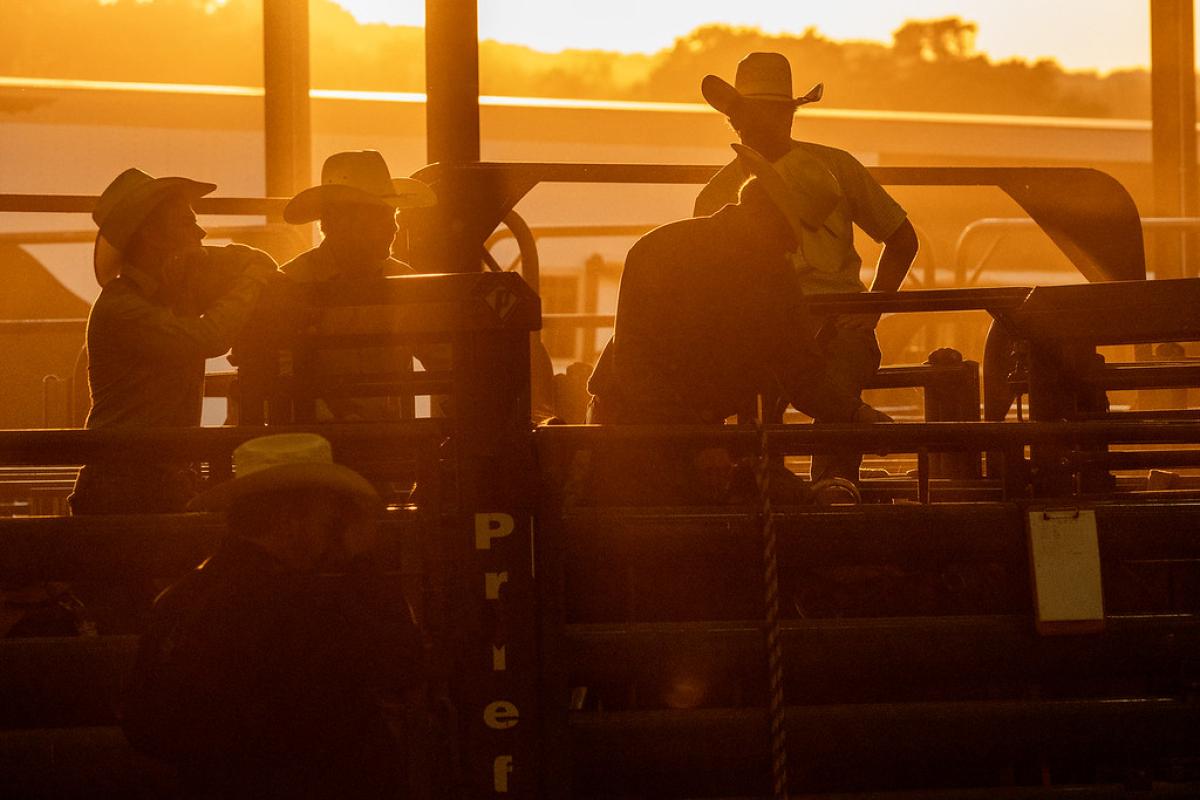 DS Fair & Rodeo 