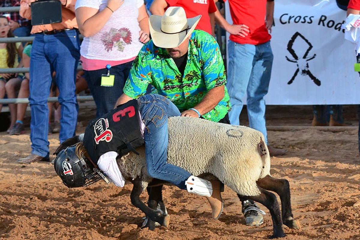 Rodeo