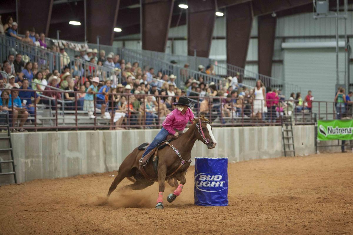 Rodeo