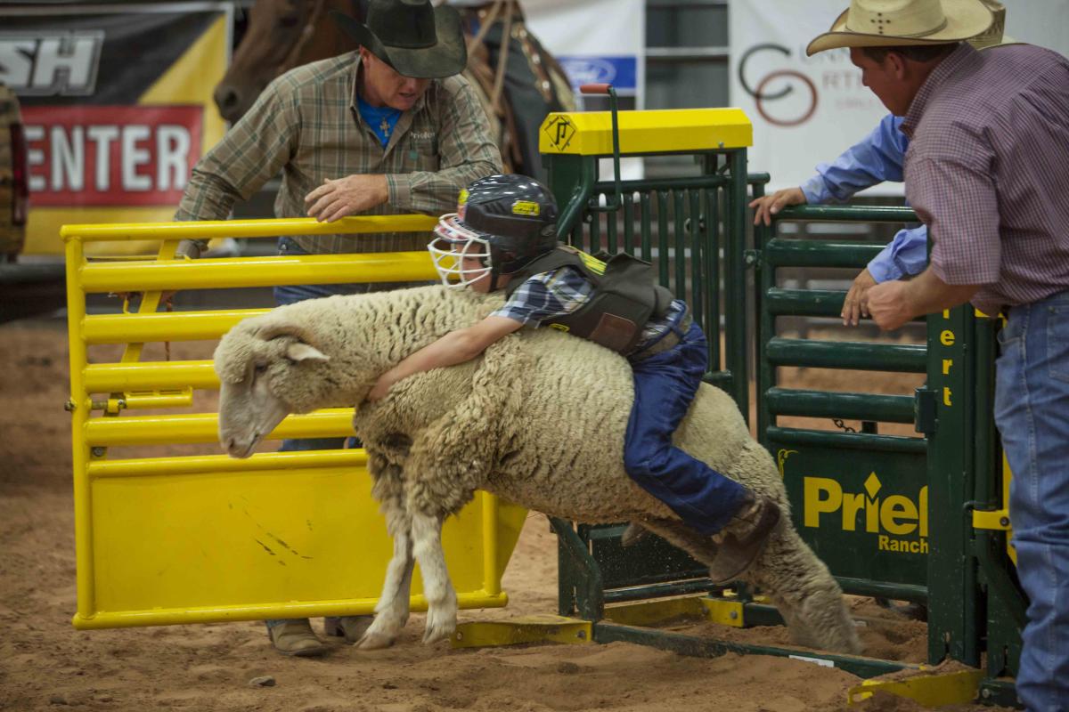 Rodeo