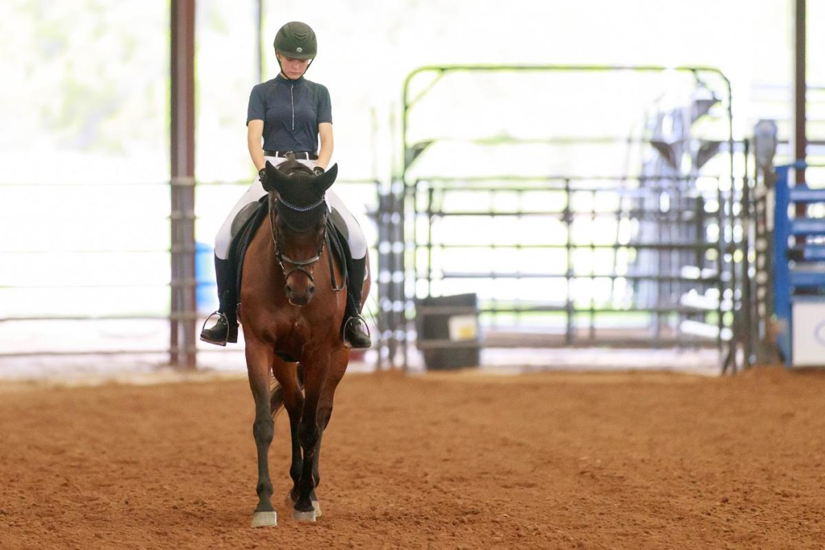 Dressage