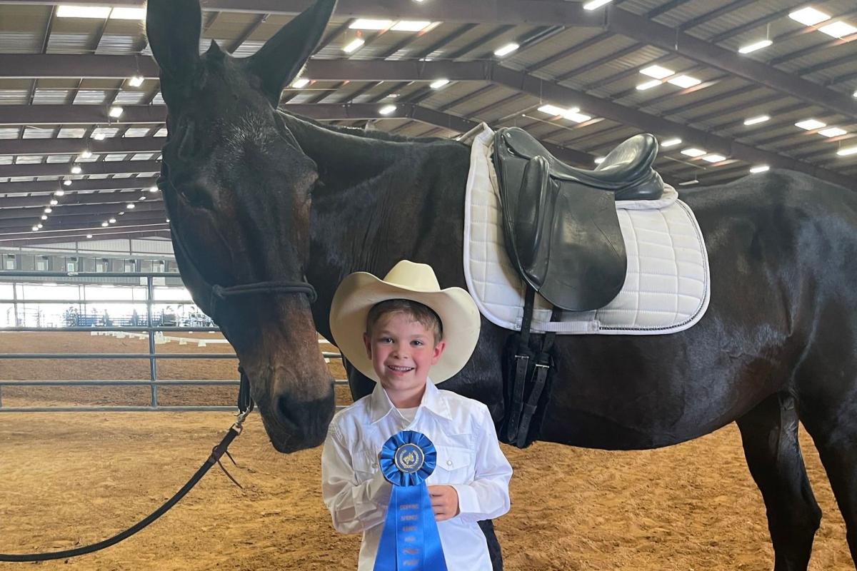 Boy and Mule at Dressage