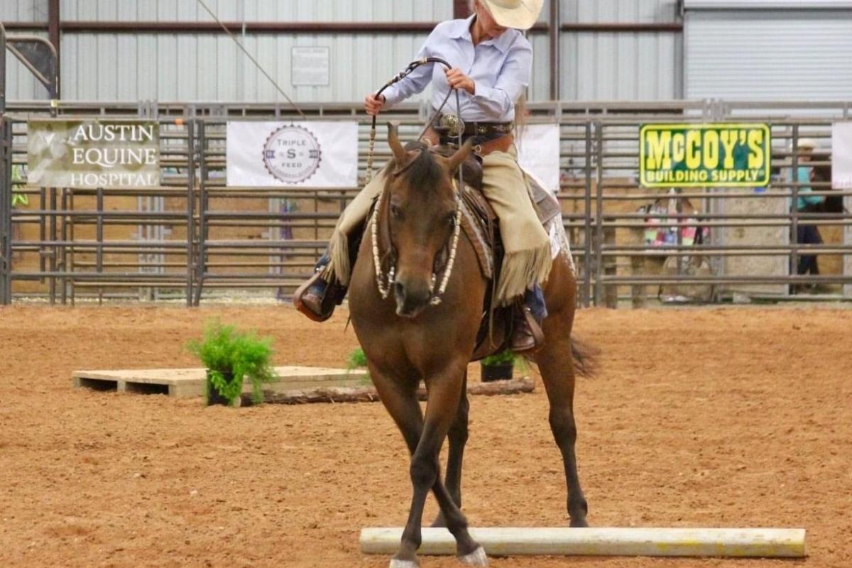 Ranch Horse