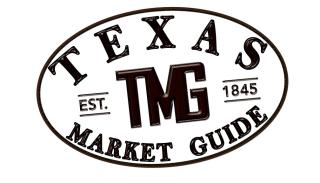 Texas Market Guide