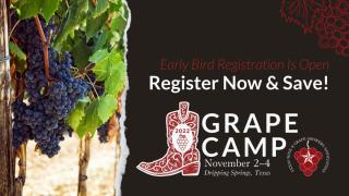 grape camp flyer