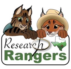 Research Rangers DSCL
