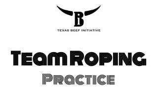 Texas Beef Initiative Flyer